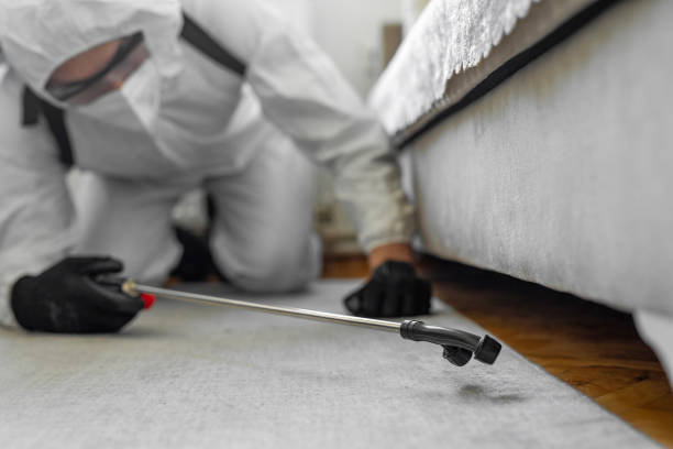 Professional Pest Control technician working in Bennington County County, VT